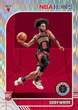 2019-20 Panini Hoops Premium Stock BK Retail Mixer - PYT #1 - Major League Cardz